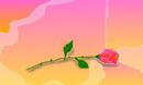 a-silent-rose a-silent-rose