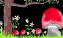 toadstools toadstools