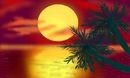 hawaiian-sunshine