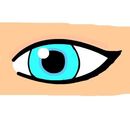 eye