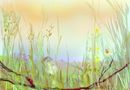 in-the-field