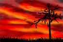 lone-tree