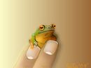 teenie-weenie-froggie