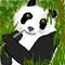 panda by maroon5rox