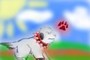 woof