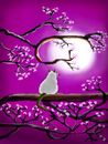 midnight-blossoms midnight-blossoms