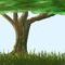 well-its-a-tree by miyouki
