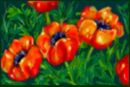 the-poppies-brother