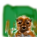 wolf-pup-for-hlv