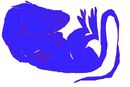 rat