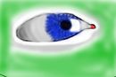 realistic-eye