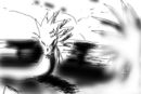 shade-test