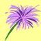 purple-flower by flower