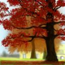 fall-red