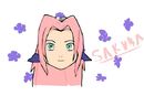 sakura sakura