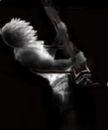 guitarist