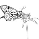 spikey-landing