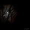 branching-moon by debrosi