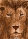 the-king