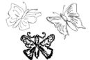 monarch-butterflies