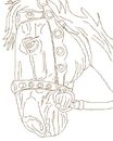 horse