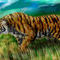 tiger-in-landscape by hakan