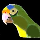 parrot