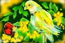 yellow-and-green
