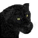black-panther black-panther