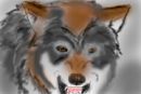 a-wolf