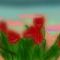 sunset-on-the-tulips by jumpingannie