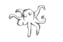octopus