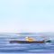 floating-on-the-river by summersea
