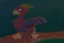 bird