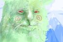 weird-green-cat