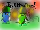 infiltration-cover