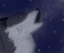 wolf-howling