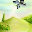 butterflies-world