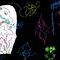 my-first-wacom-doodle by loyla