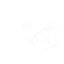 random-7