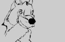 random-11