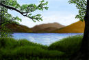 grassy-shoreline