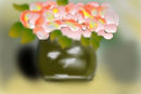 rosas