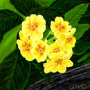 sprintime-is-amongst-u