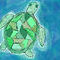 turtle by marissa112