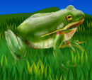froggie012