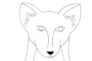 red-fox