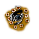 eye-of-the-beholder