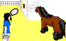 horse-needs-to-eat