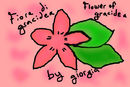 gracidea-flower